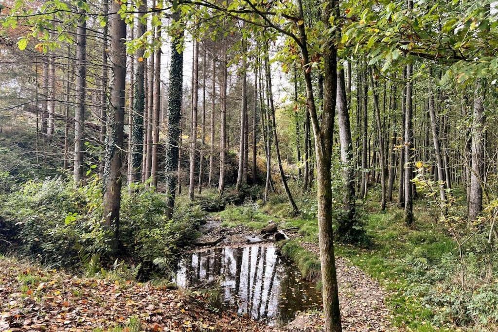 Forest Retreat- Serene 160M2 With Forest Views فرملزكيرشن المظهر الخارجي الصورة