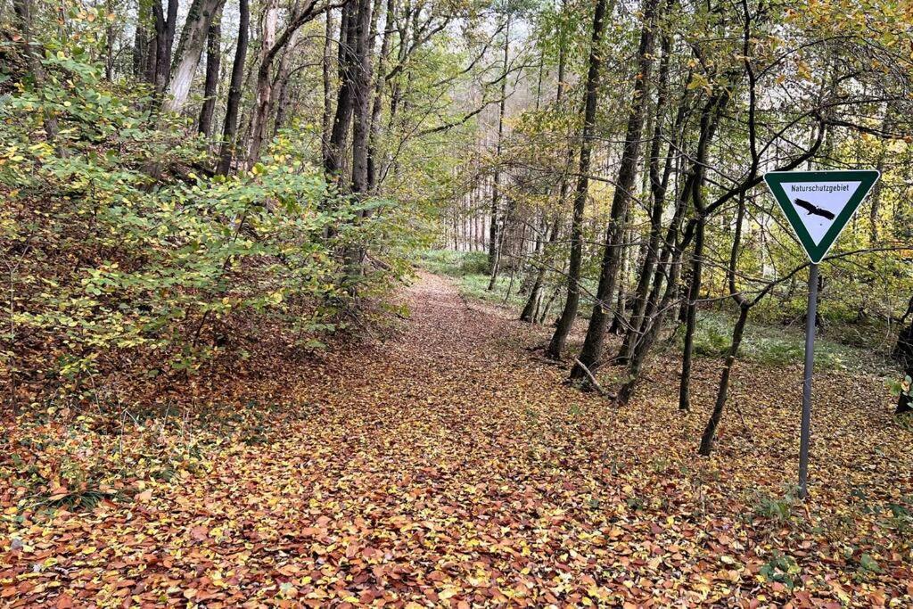 Forest Retreat- Serene 160M2 With Forest Views فرملزكيرشن المظهر الخارجي الصورة